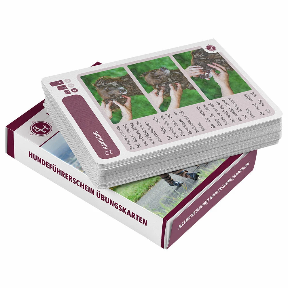 Hundeführerschein Übungskarten 2 Hundeführerschein Übungskarten – Bild 2