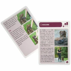 Hundeführerschein Übungskarten 7 Hundeführerschein Übungskarten -Günstiges Schecker Geschäft 0760553 3