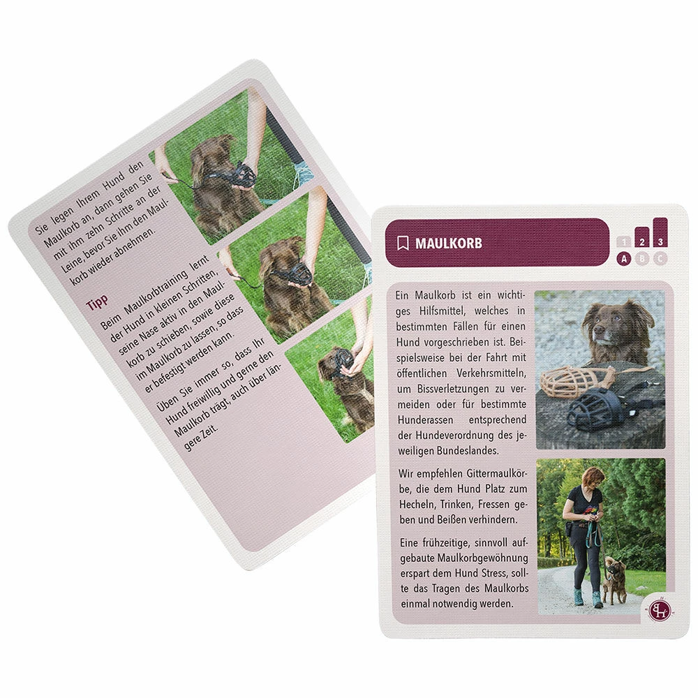 Hundeführerschein Übungskarten 4 Hundeführerschein Übungskarten – Bild 4