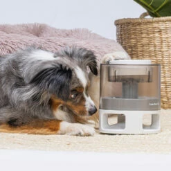 Beeztees Leckerlispender Delicious -Günstiges Schecker Geschäft 0760691 3