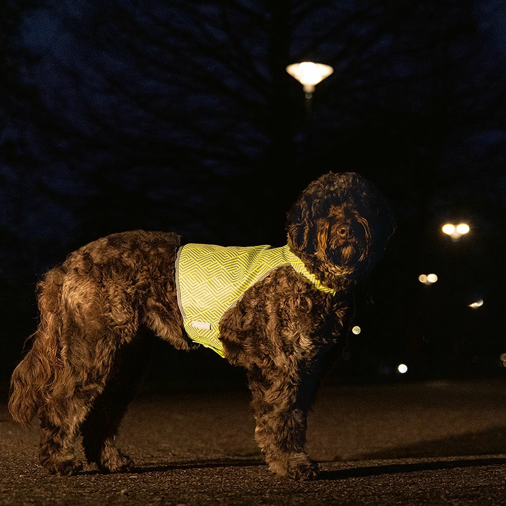 Karlie Beeztees Hunde Sicherheitsweste Ava 2 Karlie Beeztees Hunde Sicherheitsweste Ava – Bild 2