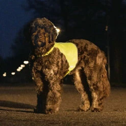 Karlie Beeztees Hunde Sicherheitsweste Ava 7 Karlie Beeztees Hunde Sicherheitsweste Ava -Günstiges Schecker Geschäft 079760 3