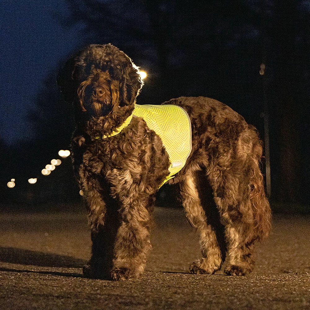 Karlie Beeztees Hunde Sicherheitsweste Ava 4 Karlie Beeztees Hunde Sicherheitsweste Ava – Bild 4