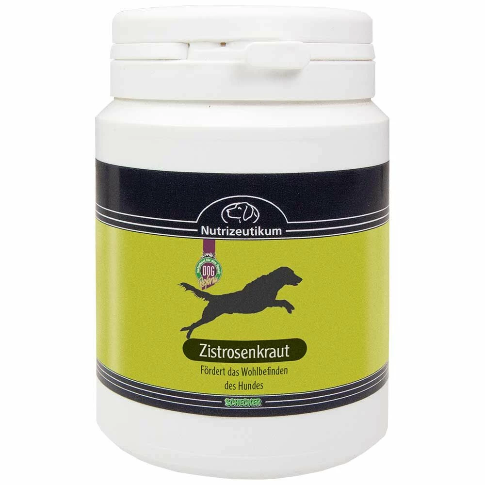 Nutrizeutikum Zistrosenkraut 4 Nutrizeutikum Zistrosenkraut – Bild 4