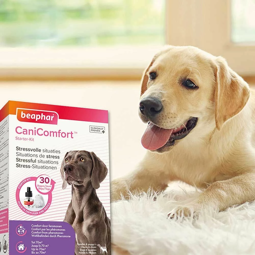 Beaphar CaniComfort(TM) Verdampfer Hund 4 Beaphar CaniComfort(TM) Verdampfer Hund – Bild 4