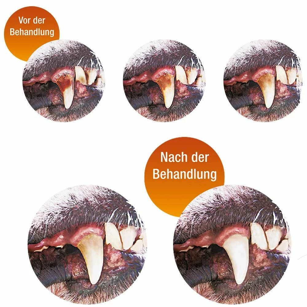 PLATINUM Natural-Care - Zur Zahnsteinentfernung 2 PLATINUM Natural-Care - Zur Zahnsteinentfernung – Bild 2