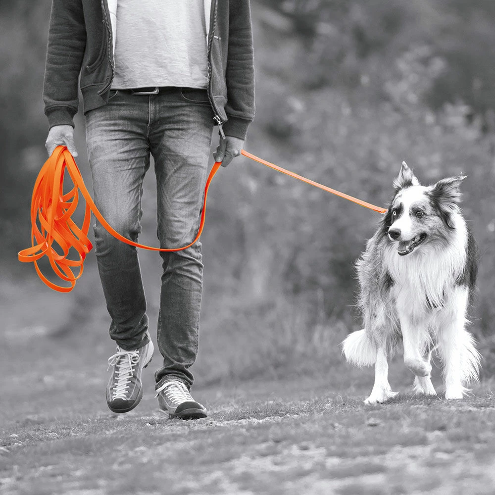 Schecker Biothane® Schleppleine Mit Handschlaufe, 5 M / 16 Mm 2 Schecker Biothane® Schleppleine Mit Handschlaufe, 5 M / 16 Mm – Bild 2