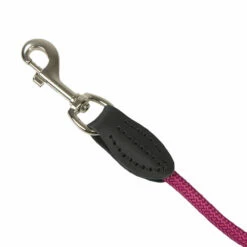 CAMON Führleine Aus Nylontau -Günstiges Schecker Geschäft 0840132 3