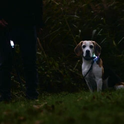 Karlie Beeztees Leuchtleine Parinca -Günstiges Schecker Geschäft 0840138 2