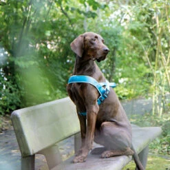 Norwegergeschirr Classic Preno -Günstiges Schecker Geschäft 0840142 2