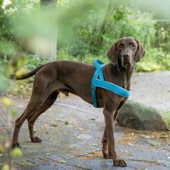 Norwegergeschirr Classic Preno -Günstiges Schecker Geschäft 0840142 4