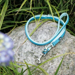 Führleine Classic Preno -Günstiges Schecker Geschäft 0840143 4