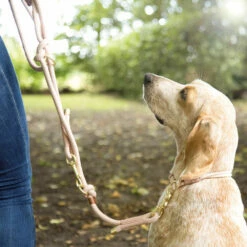 Trixie Soft Rope Verlängerungsleine -Günstiges Schecker Geschäft 0840144 3