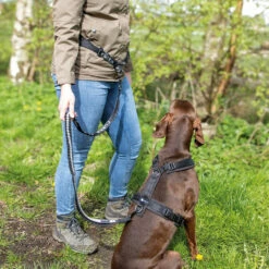 Rukka Pets Hike Belt+leash 7 Rukka Pets Hike Belt+leash -Günstiges Schecker Geschäft 0840170 4