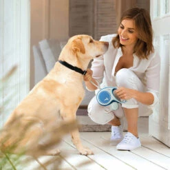 Flexi® New Comfort - Mit Gurt -Günstiges Schecker Geschäft 084649 3