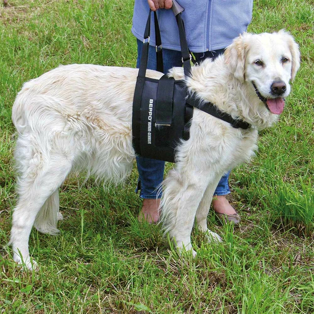 Beppo® Hunde-Gehhilfe One-Size 5 Beppo® Hunde-Gehhilfe One-Size – Bild 5