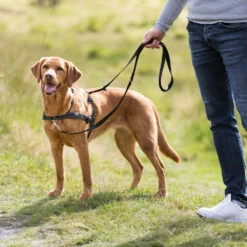 Trixie Geh-Bei-Fuß Trainingsgeschirr -Günstiges Schecker Geschäft 087116 3