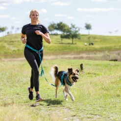 Trixie Bauchgurt Mit Leine -Günstiges Schecker Geschäft 090059 4