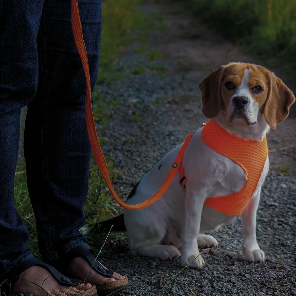 Mesh Original Leichtgeschirr, Farbe Orange 3 Mesh Original Leichtgeschirr, Farbe Orange – Bild 3