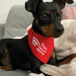 Besticktes Halstuch Kleiner König + Krone + Name 7 Besticktes Halstuch Kleiner König + Krone + Name -Günstiges Schecker Geschäft 090678 3