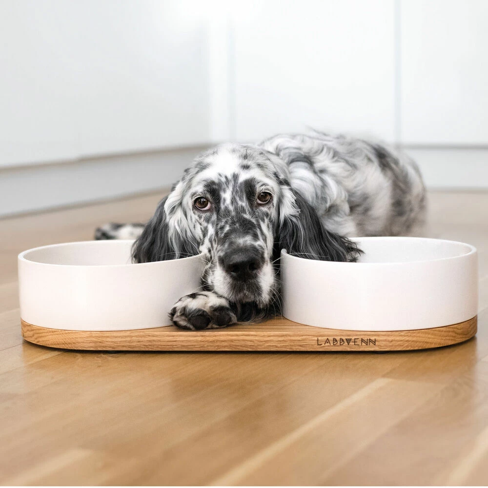 Labbvenn Hundebar VUKU 2 Labbvenn Hundebar VUKU – Bild 2