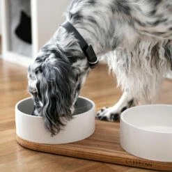 Labbvenn Hundebar VUKU 8 Labbvenn Hundebar VUKU -Günstiges Schecker Geschäft 272101 3