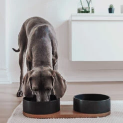 Labbvenn Hundebar VUKU 9 Labbvenn Hundebar VUKU -Günstiges Schecker Geschäft 272101 4