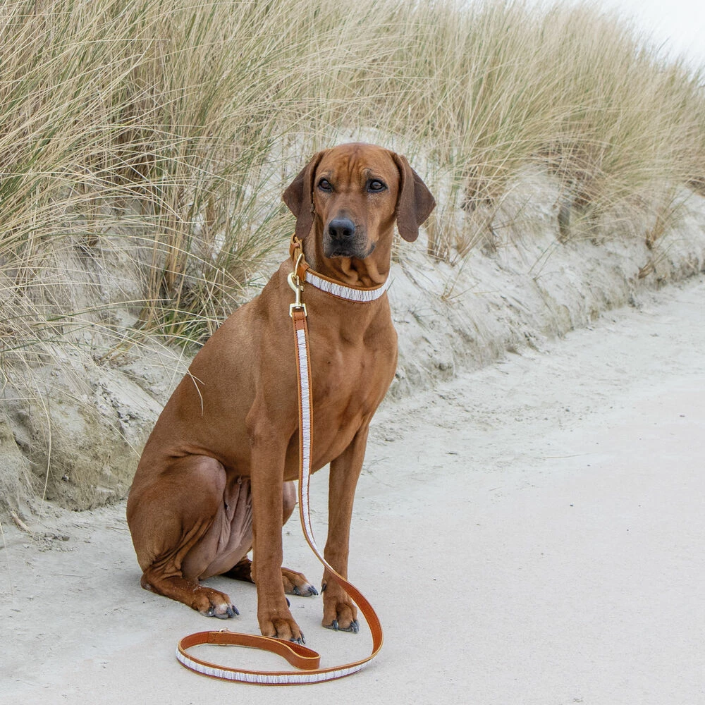 Plakkies Hunde-Lederleine 3 Plakkies Hunde-Lederleine – Bild 3