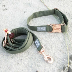 EMMY & PEPE Hundehalsband Lotte -Günstiges Schecker Geschäft 284003 2