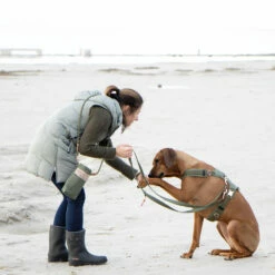 EMMY & PEPE Hundeleine Lotte -Günstiges Schecker Geschäft 284004 2