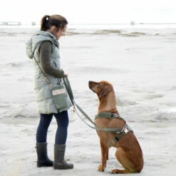 EMMY & PEPE Hundeleine Lotte -Günstiges Schecker Geschäft 284004 3