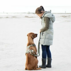 EMMY & PEPE Hundeleine Lotte -Günstiges Schecker Geschäft 284004 4