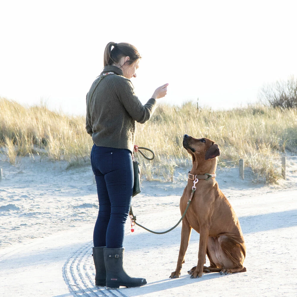 EMMY & PEPE Tauhalsband Ohne Perlen Lotte 4 EMMY & PEPE Tauhalsband Ohne Perlen Lotte – Bild 4