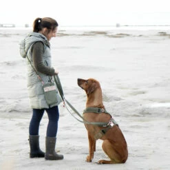 EMMY & PEPE Hundegeschirr Lotte -Günstiges Schecker Geschäft 284006 2