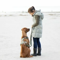 EMMY & PEPE Hundegeschirr Lotte -Günstiges Schecker Geschäft 284006 3