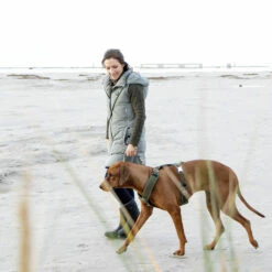 EMMY & PEPE Hundegeschirr Lotte -Günstiges Schecker Geschäft 284006 4