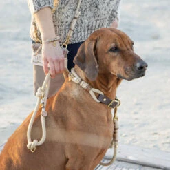 EMMY & PEPE Tauleine Heidi 8 EMMY & PEPE Tauleine Heidi -Günstiges Schecker Geschäft 284011 3