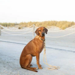 EMMY & PEPE Tauhalsband Ohne Perlen Heidi 7 EMMY & PEPE Tauhalsband Ohne Perlen Heidi -Günstiges Schecker Geschäft 284012 2