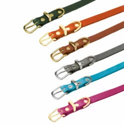 Molly & Stitch Butter Leder Hundehalsband -Günstiges Schecker Geschäft 284014 2