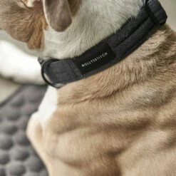 Molly & Stitch Soft Rock Hundehalsband 6 Molly & Stitch Soft Rock Hundehalsband -Günstiges Schecker Geschäft 284015 2