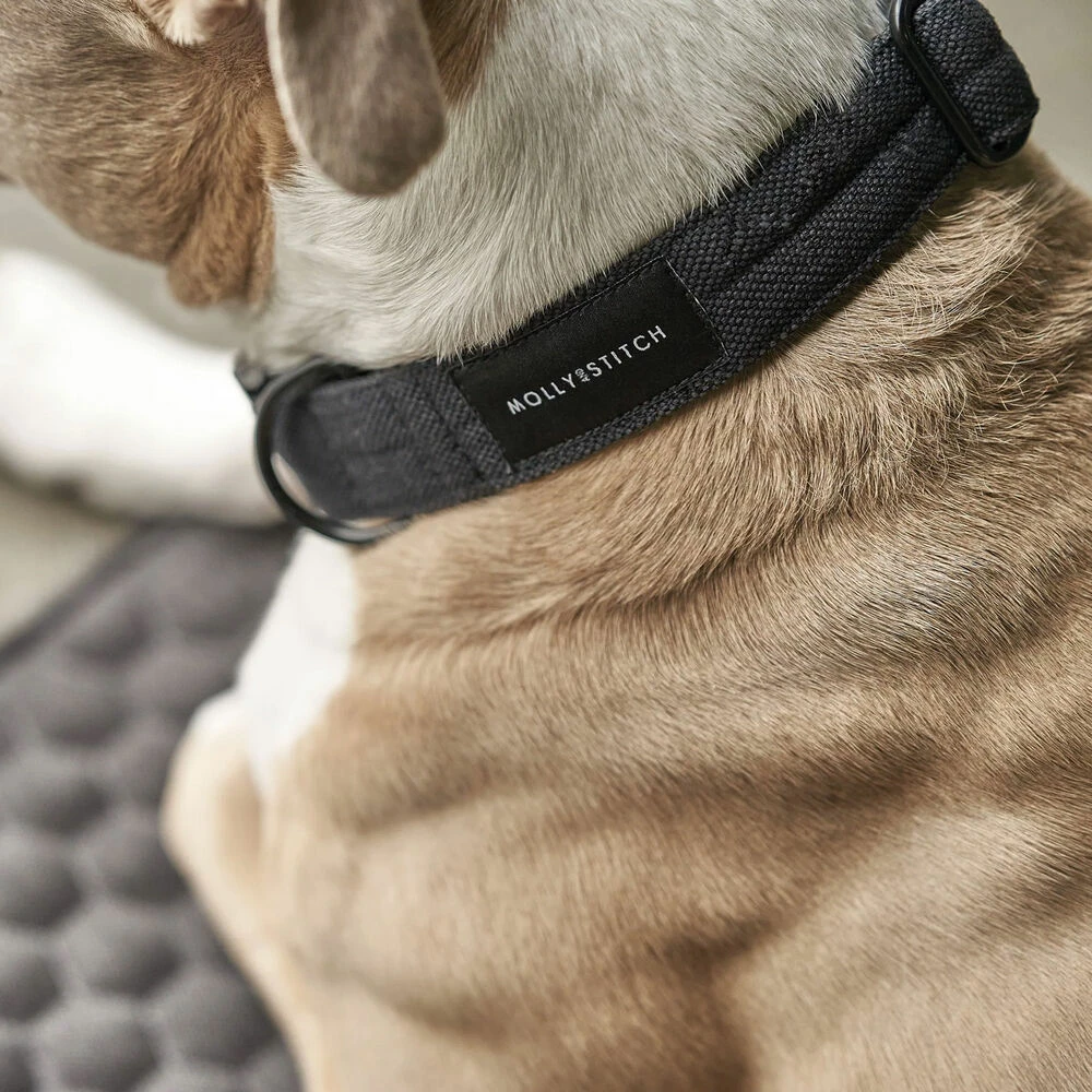 Molly & Stitch Soft Rock Hundehalsband 3 Molly & Stitch Soft Rock Hundehalsband – Bild 3