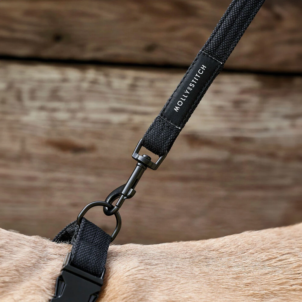 Molly & Stitch Soft Rock Verstellbare Hundeleine 2 Molly & Stitch Soft Rock Verstellbare Hundeleine – Bild 2