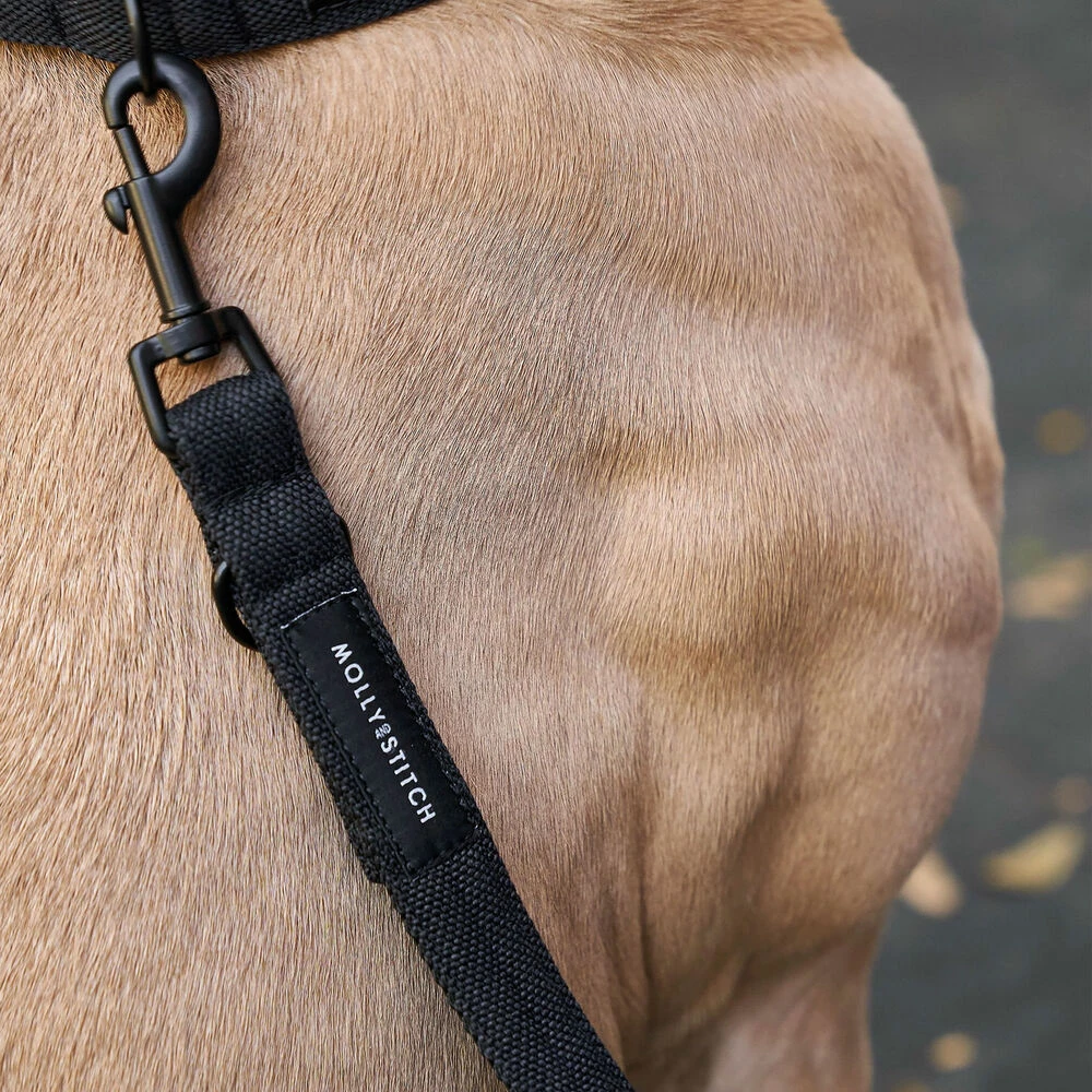 Molly & Stitch Soft Rock Verstellbare Hundeleine 5 Molly & Stitch Soft Rock Verstellbare Hundeleine – Bild 5