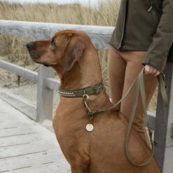 Trendfährte Hundeleine BioThane® 3-fach Verstellbar -Günstiges Schecker Geschäft 584005 4