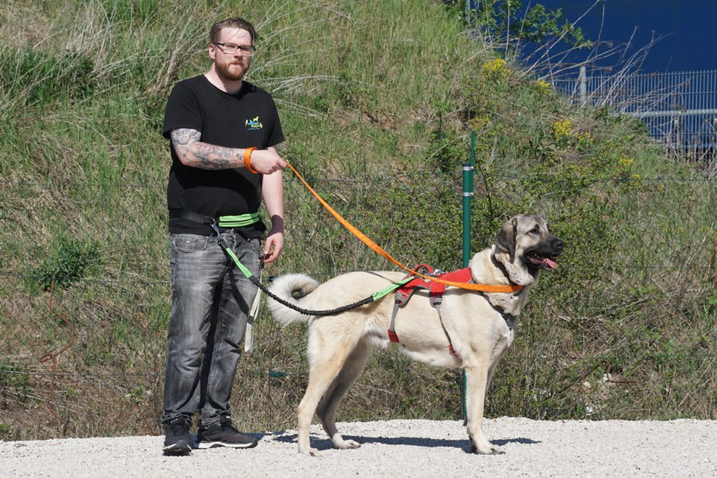 Günstiges Schecker Geschäft 44 Günstiges Schecker Geschäft -Günstiges Schecker Geschäft Ayla 2 1024x683 1