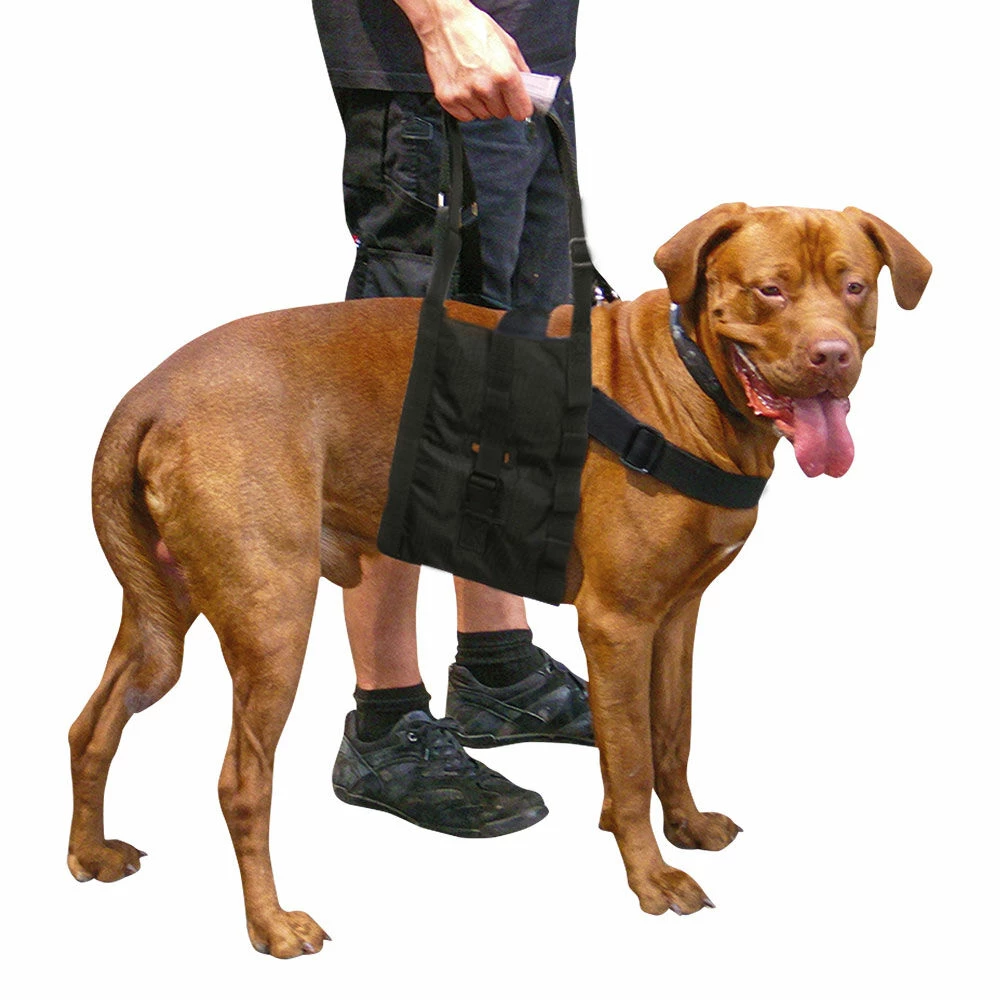 Beppo® Hunde-Gehhilfe One-Size 1 Beppo® Hunde-Gehhilfe One-Size