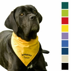 Besticktes Halstuch, Bodyguard + Name