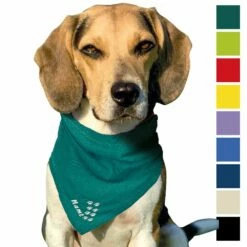 Besticktes Halstuch Pfotenspur + Name