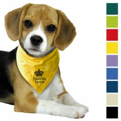 Besticktes Halstuch, Prinzessin + Krone + Name