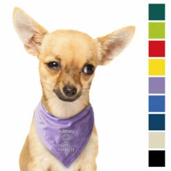 Besticktes Halstuch Totenkopf, Achtung Bissig!